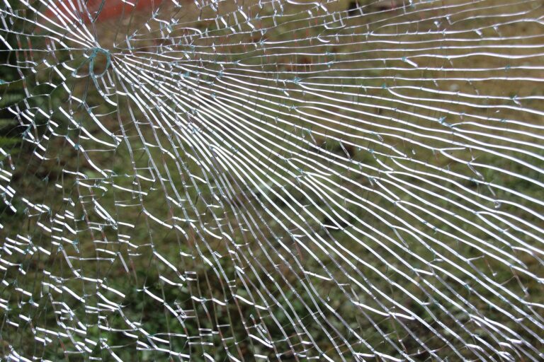 glass pane 446857 1920